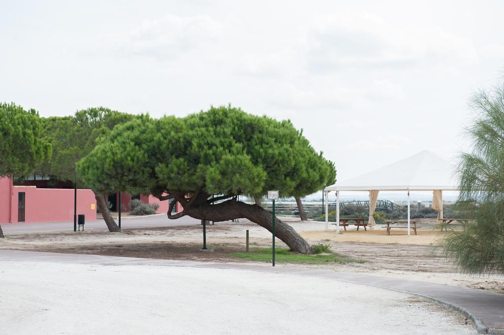 Alojamiento Rural Coto De La Isleta El Puerto de Santa Maria Exterior foto